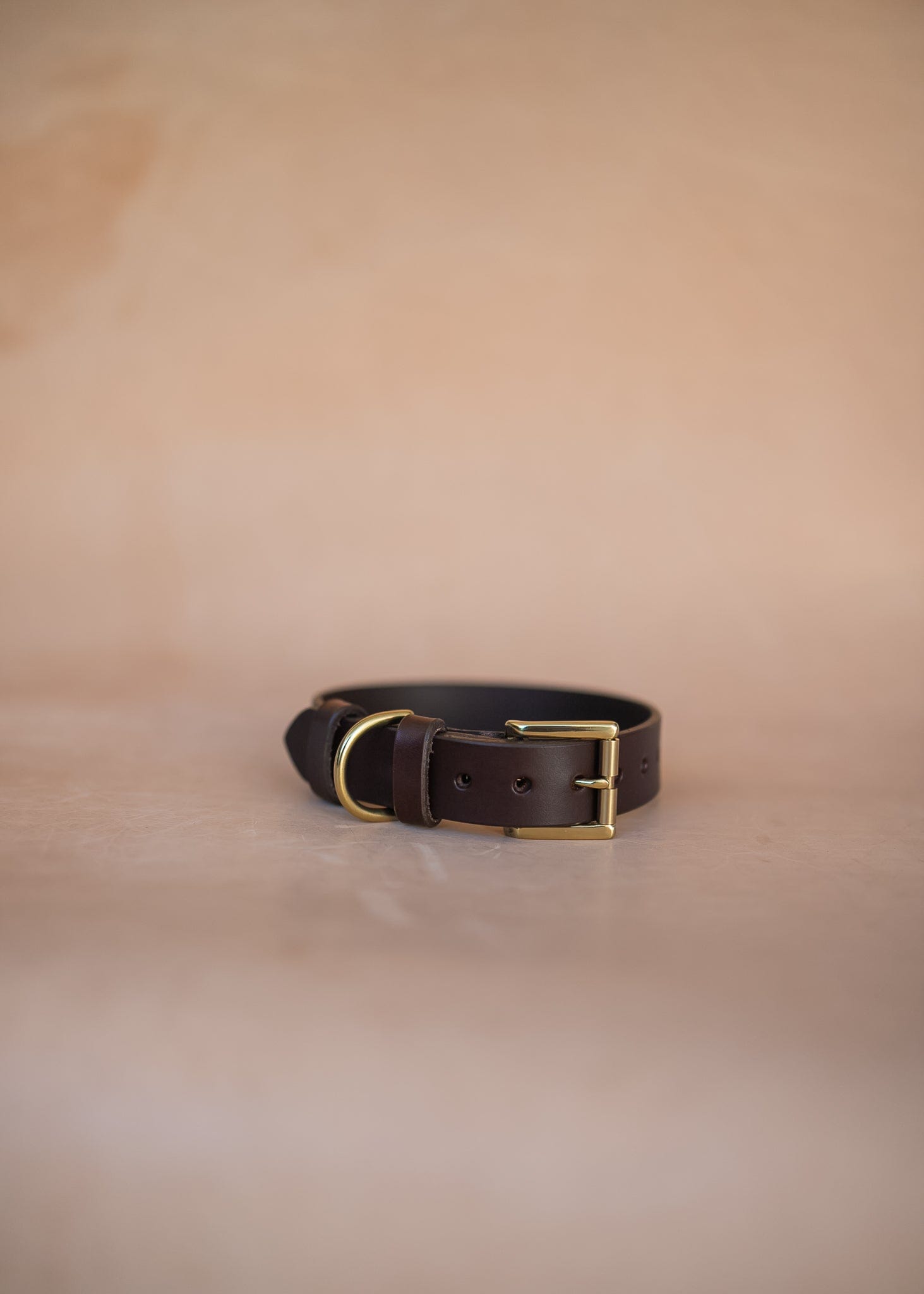 The Real McCaul Leathergoods Pet Collars & Harnesses Classic Dog Collar - 30mm - Burgundy Australian Made Australian Owned Leather Dog Collar with Brass Fittings- Australian Made