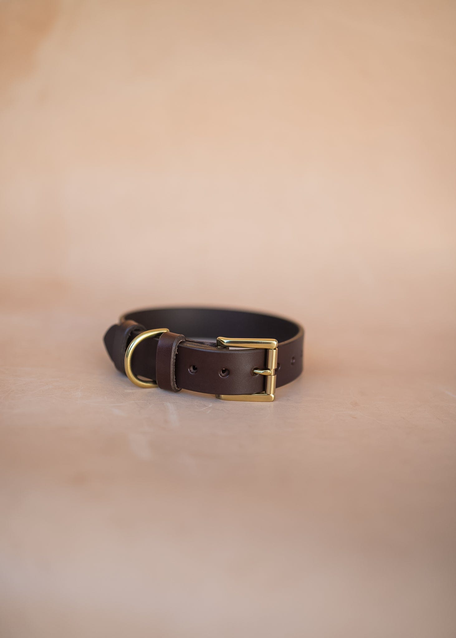 The Real McCaul Leathergoods Pet Collars & Harnesses Classic Dog Collar - 30mm - Burgundy Australian Made Australian Owned Leather Dog Collar with Brass Fittings- Australian Made