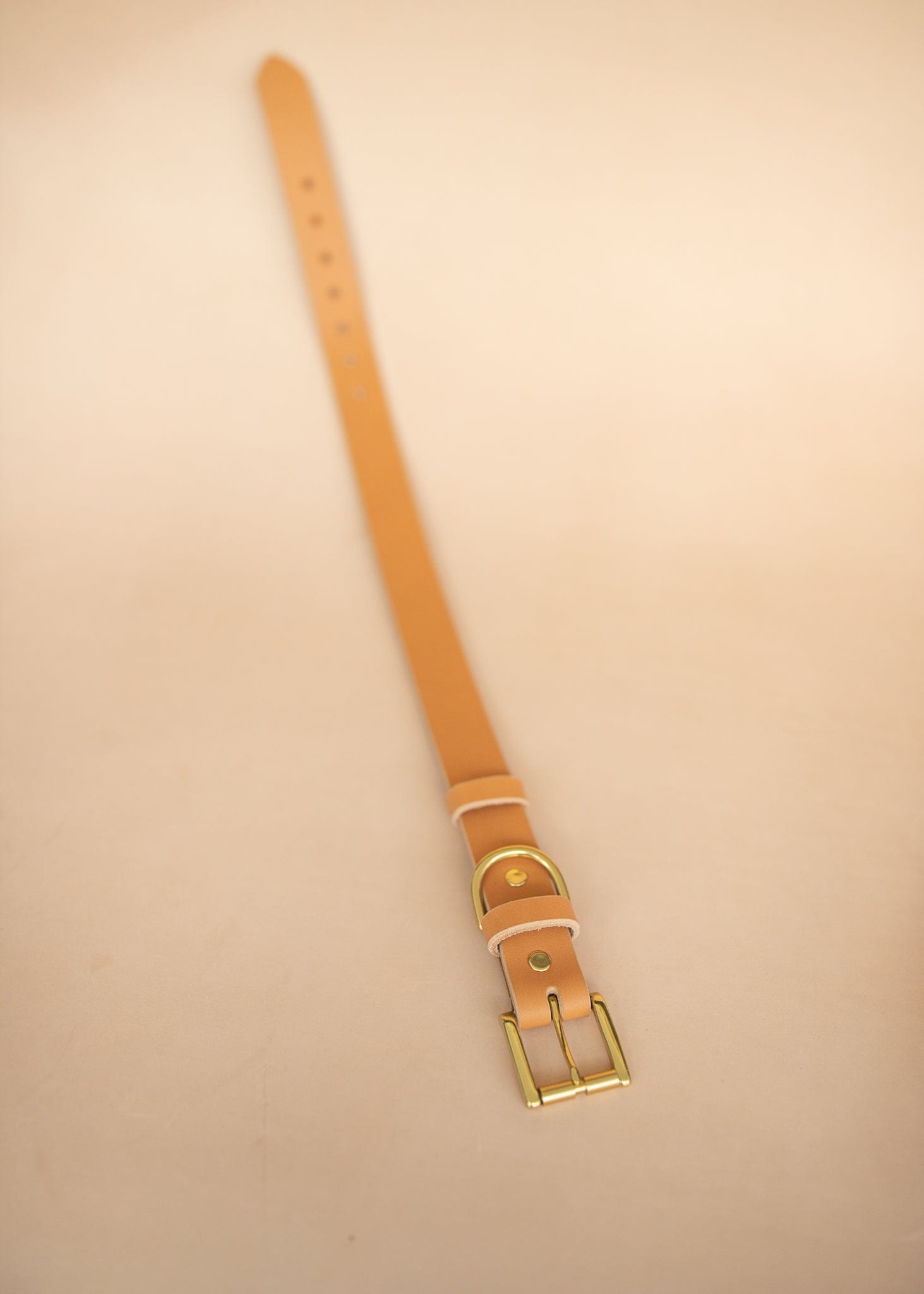 The Real McCaul Leathergoods Pet Collars & Harnesses Classic Dog Collar - 30mm - Natural Australian Made Australian Owned Leather Dog Collar with Brass Fittings- Australian Made