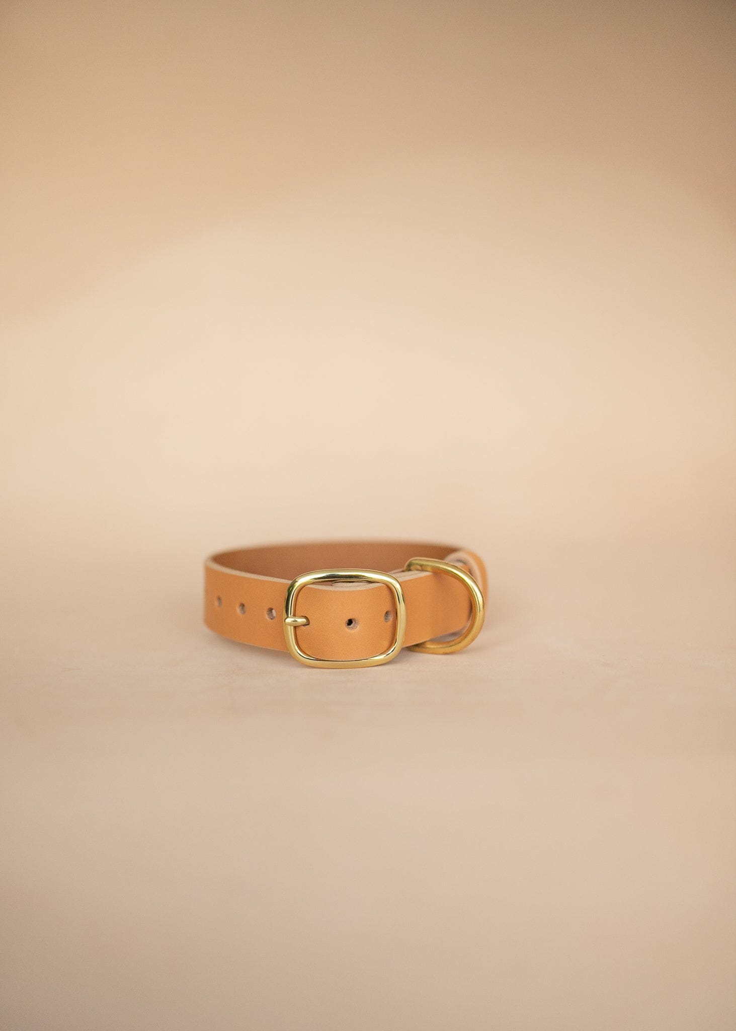 The Real McCaul Leathergoods Pet Collars & Harnesses Classic Dog Collar - 32mm - Natural Australian Made Australian Owned Leather Dog Collar with Brass Fittings- Australian Made
