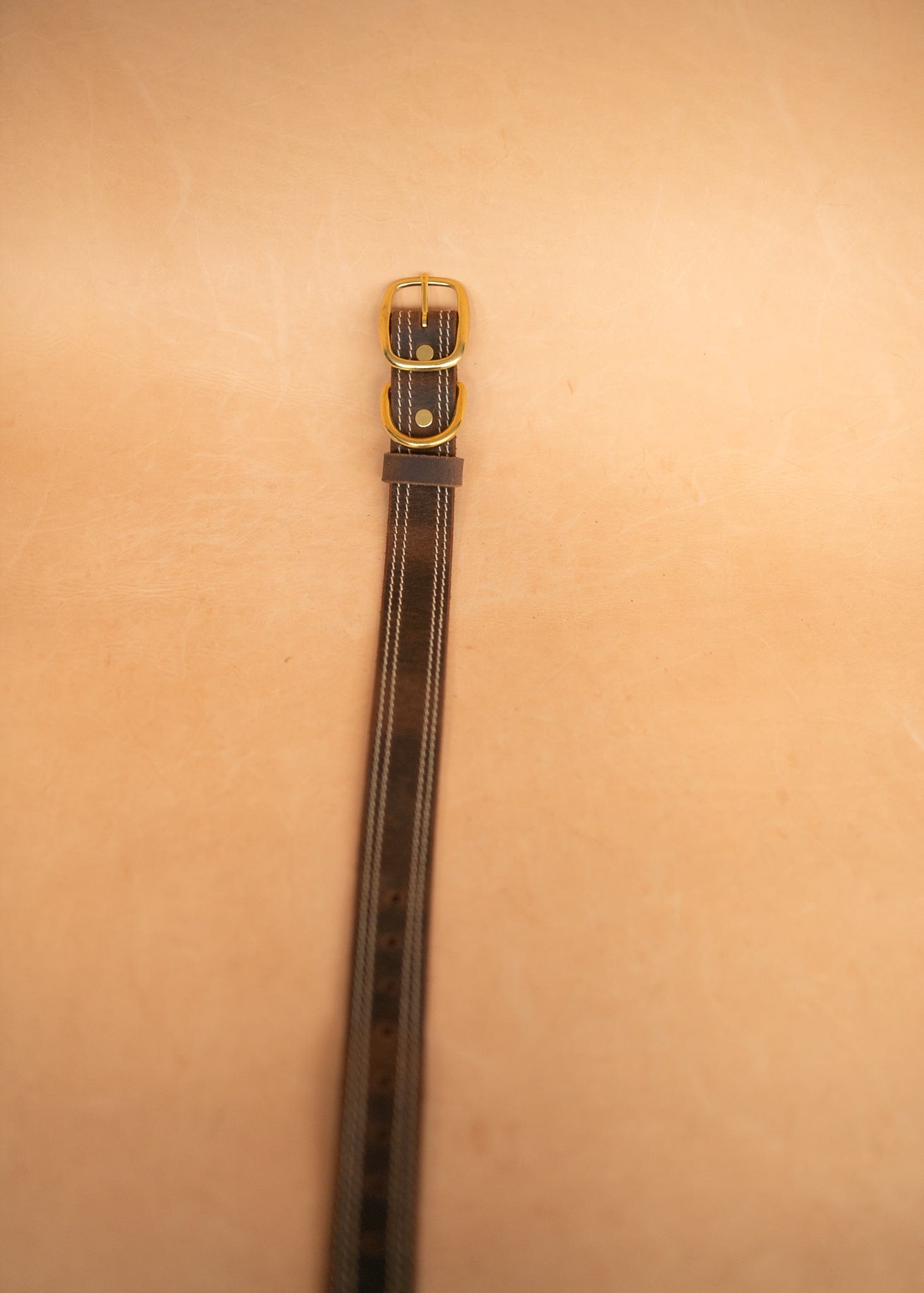 The Real McCaul Leathergoods Pet Collars & Harnesses Frank Dog Collar - 32mm - Rustic Brown Australian Made Australian Owned Leather Dog Collar with Brass Fittings- Australian Made