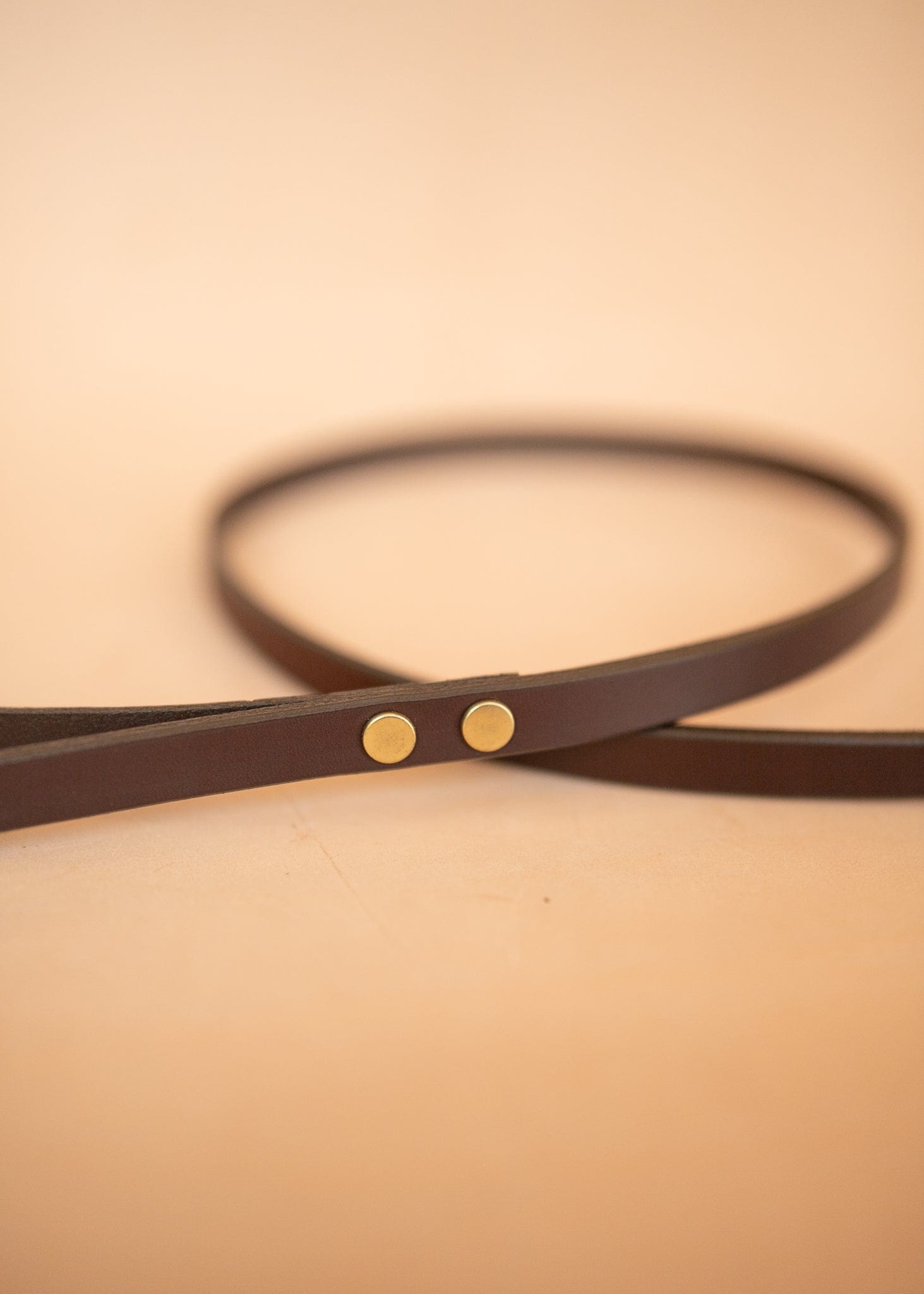 The Real McCaul Leathergoods Pet Leashes Narrow Dog Leash - Burgundy Australian Made Australian Owned Leather Dog Lead or Leash - HandMade In Australia- Brass Fittings