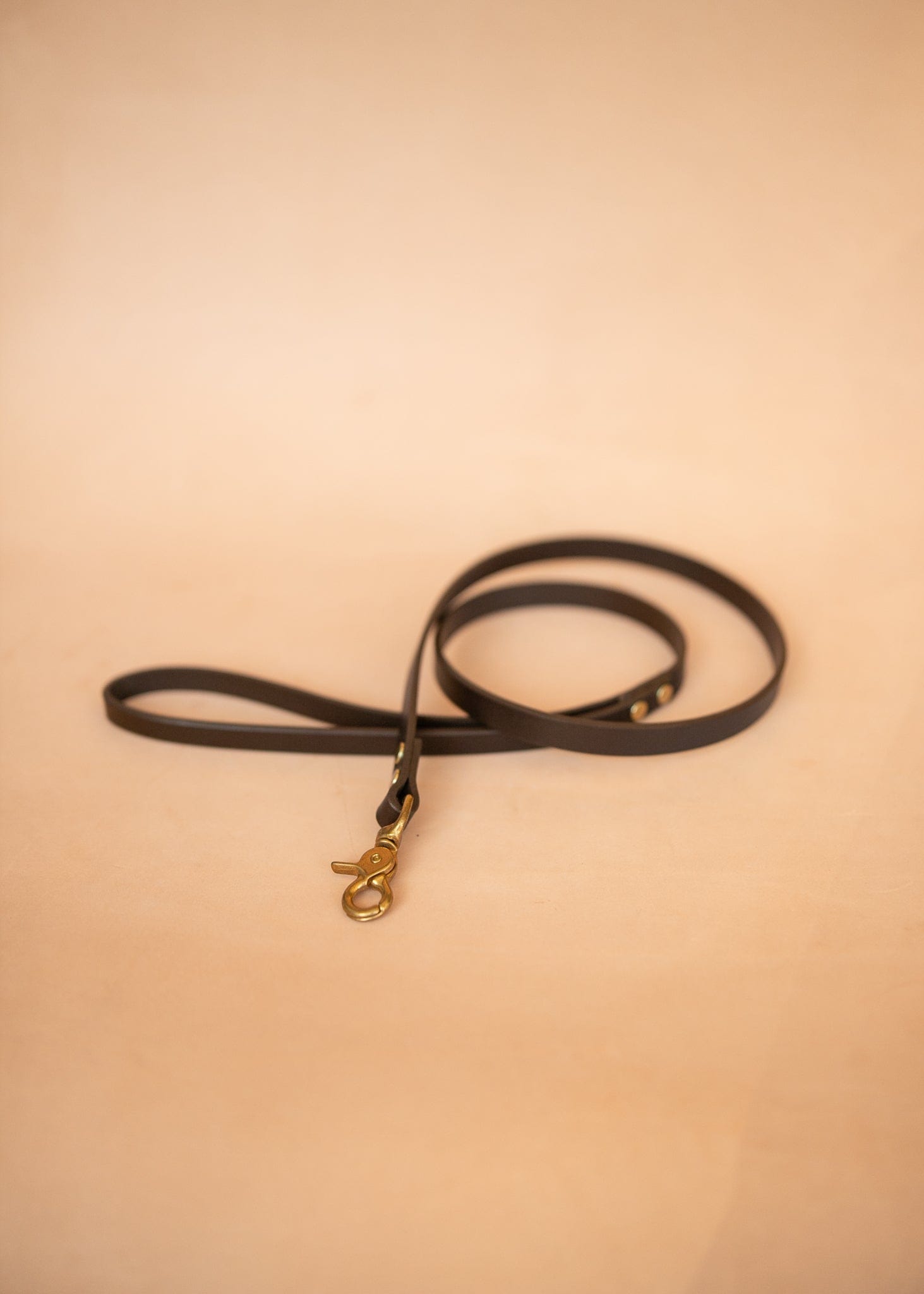 The Real McCaul Leathergoods Pet Leashes Narrow Dog Leash - Dark Brown Australian Made Australian Owned Leather Dog Lead or Leash - HandMade In Australia- Brass Fittings