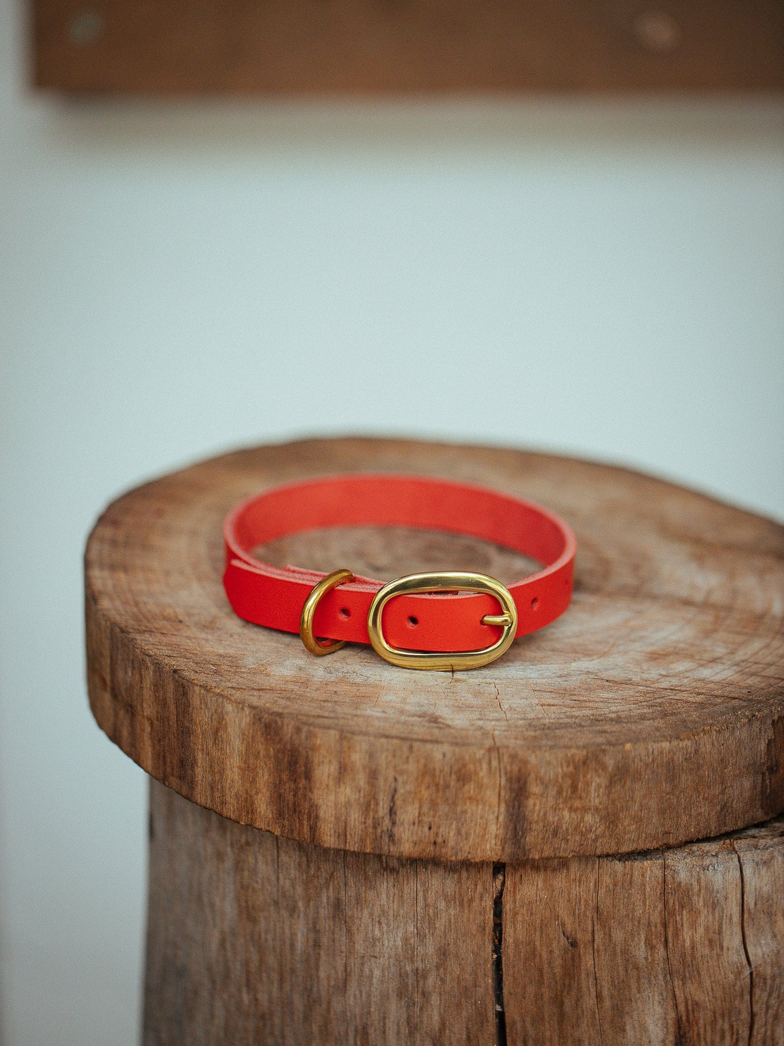 The Real McCaul Leathergoods Collar Classic Dog Collar - 15mm - Red Australian Made Australian Owned Leather Dog Collar with Brass Fittings- Australian Made