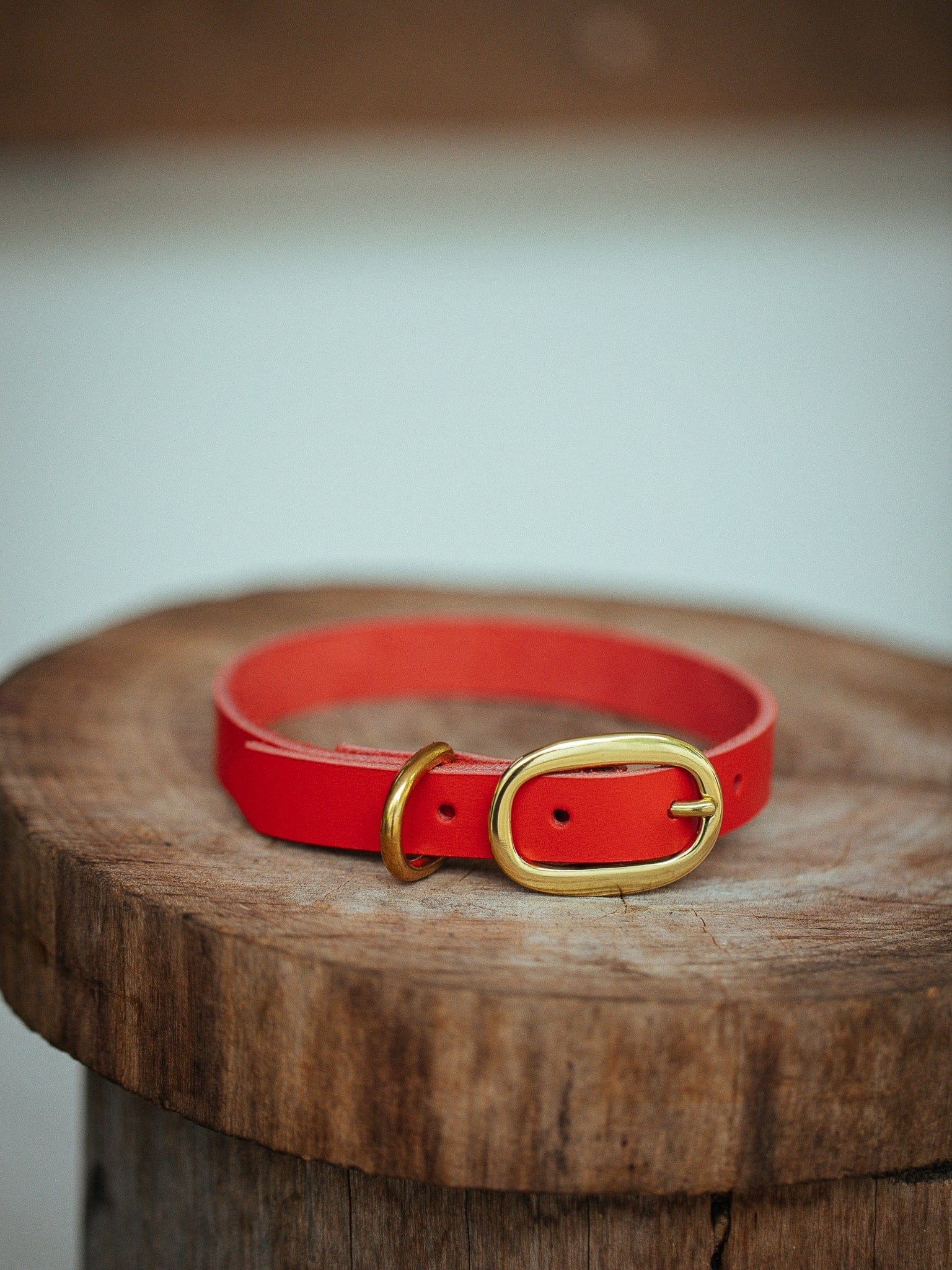 The Real McCaul Leathergoods Collar Classic Dog Collar - 15mm - Red Australian Made Australian Owned Leather Dog Collar with Brass Fittings- Australian Made