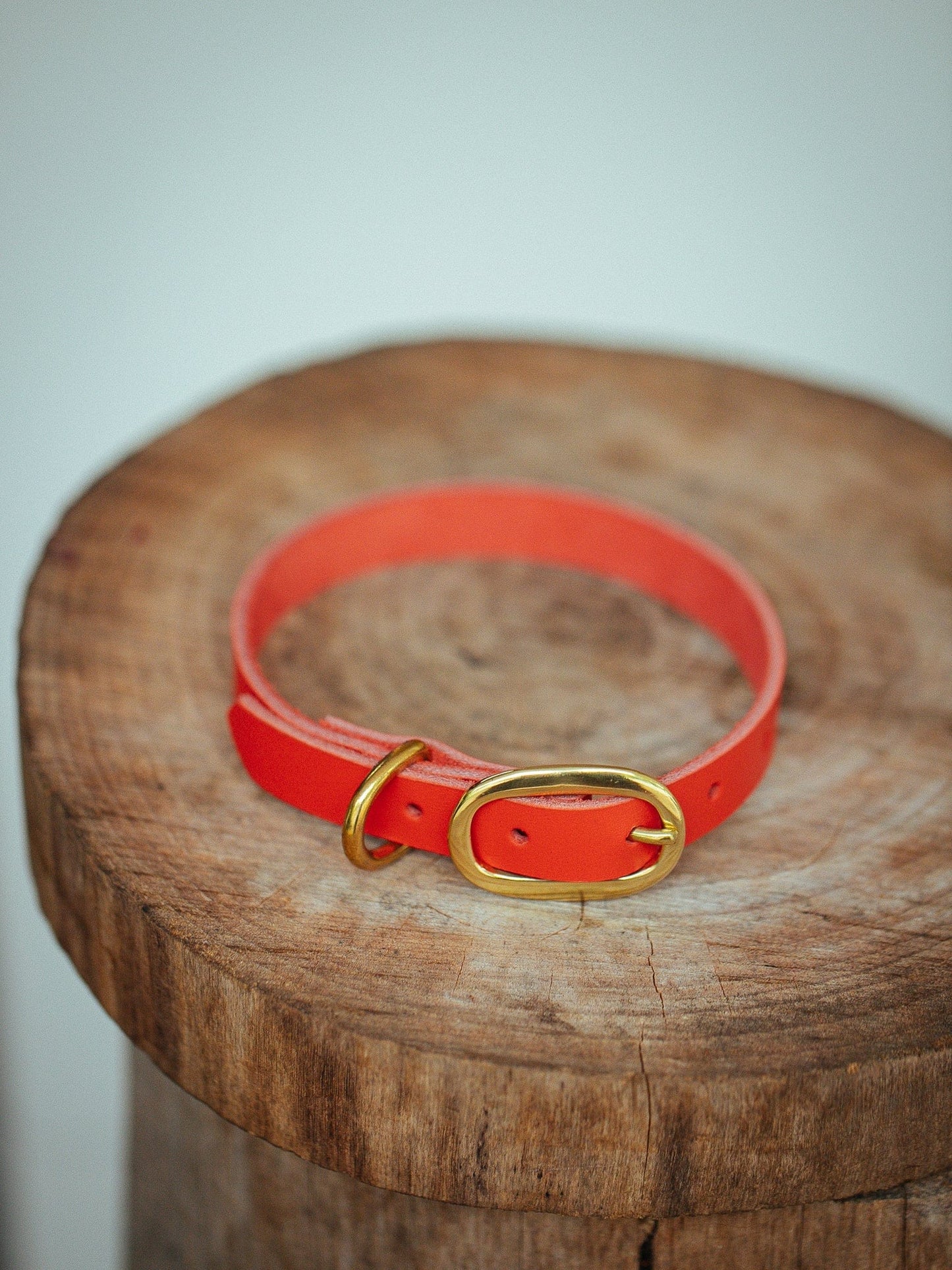The Real McCaul Leathergoods Collar Classic Dog Collar - 15mm - Red Australian Made Australian Owned Leather Dog Collar with Brass Fittings- Australian Made