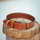 The Real McCaul Leathergoods Deluxe Rancher Dog Collar - 38mm - Tan Australian Made Australian Owned Leather Dog Collar with Brass Fittings- Australian Made