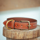 The Real McCaul Leathergoods Medium (40-49cm) / Antique Brass Deluxe Rancher Dog Collar - 38mm - Tan Australian Made Australian Owned Leather Dog Collar with Brass Fittings- Australian Made