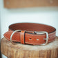 The Real McCaul Leathergoods Medium (40-49cm) / Silver Deluxe Rancher Dog Collar - 38mm - Tan Australian Made Australian Owned Leather Dog Collar with Brass Fittings- Australian Made