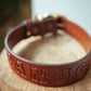 The Real McCaul Leathergoods Personalised Dog Collar 38mm Wide - Cognac Australian Made Australian Owned Leather Dog Collar with Brass Fittings- Australian Made