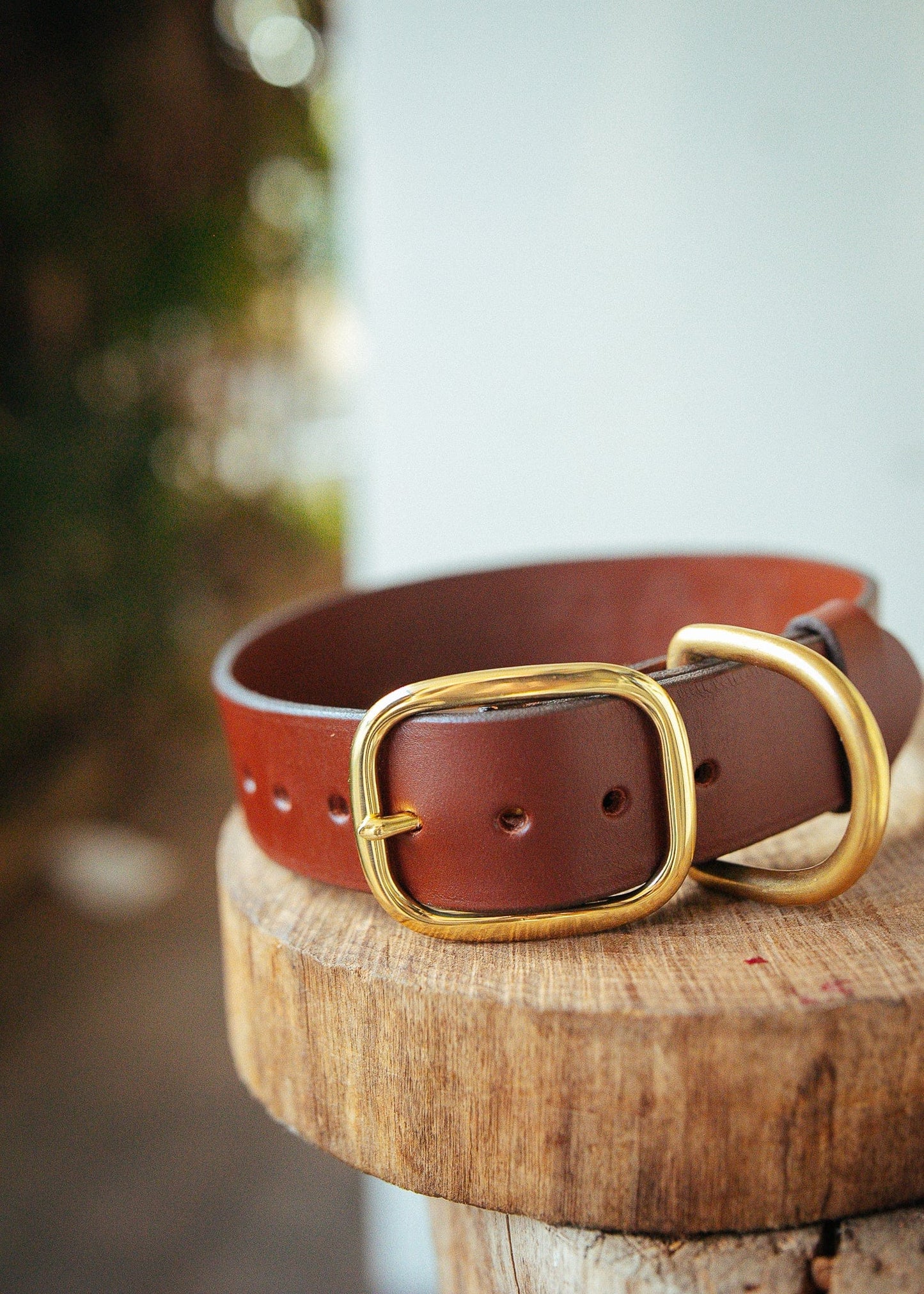 The Real McCaul Leathergoods Personalised Dog Collar 38mm Wide - Cognac Australian Made Australian Owned Leather Dog Collar with Brass Fittings- Australian Made