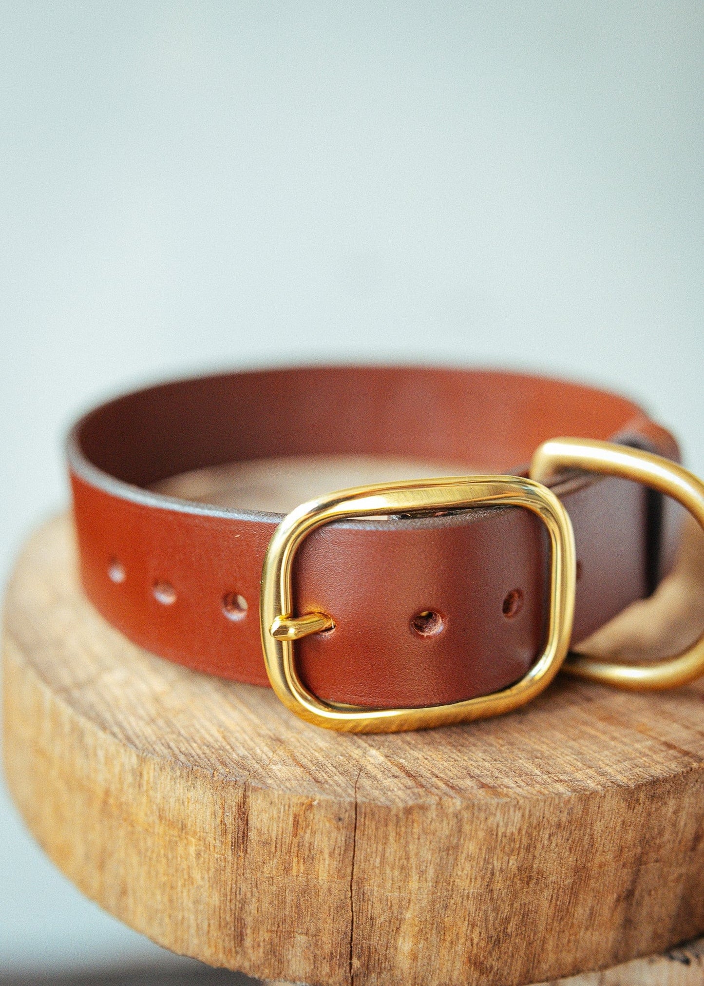 The Real McCaul Leathergoods Personalised Dog Collar 38mm Wide - Cognac Australian Made Australian Owned Leather Dog Collar with Brass Fittings- Australian Made