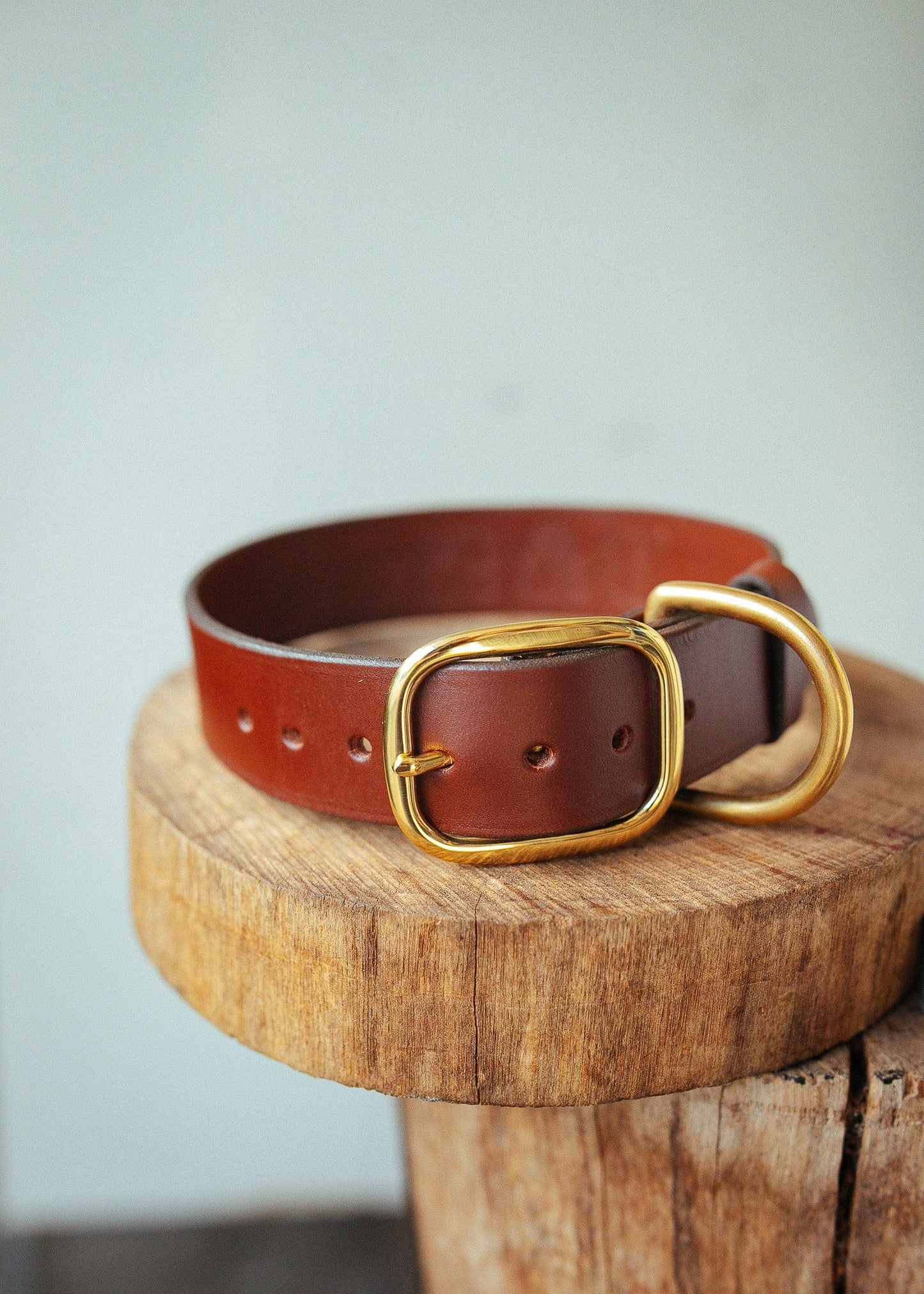 The Real McCaul Leathergoods Personalised Dog Collar 38mm Wide - Cognac Australian Made Australian Owned Leather Dog Collar with Brass Fittings- Australian Made