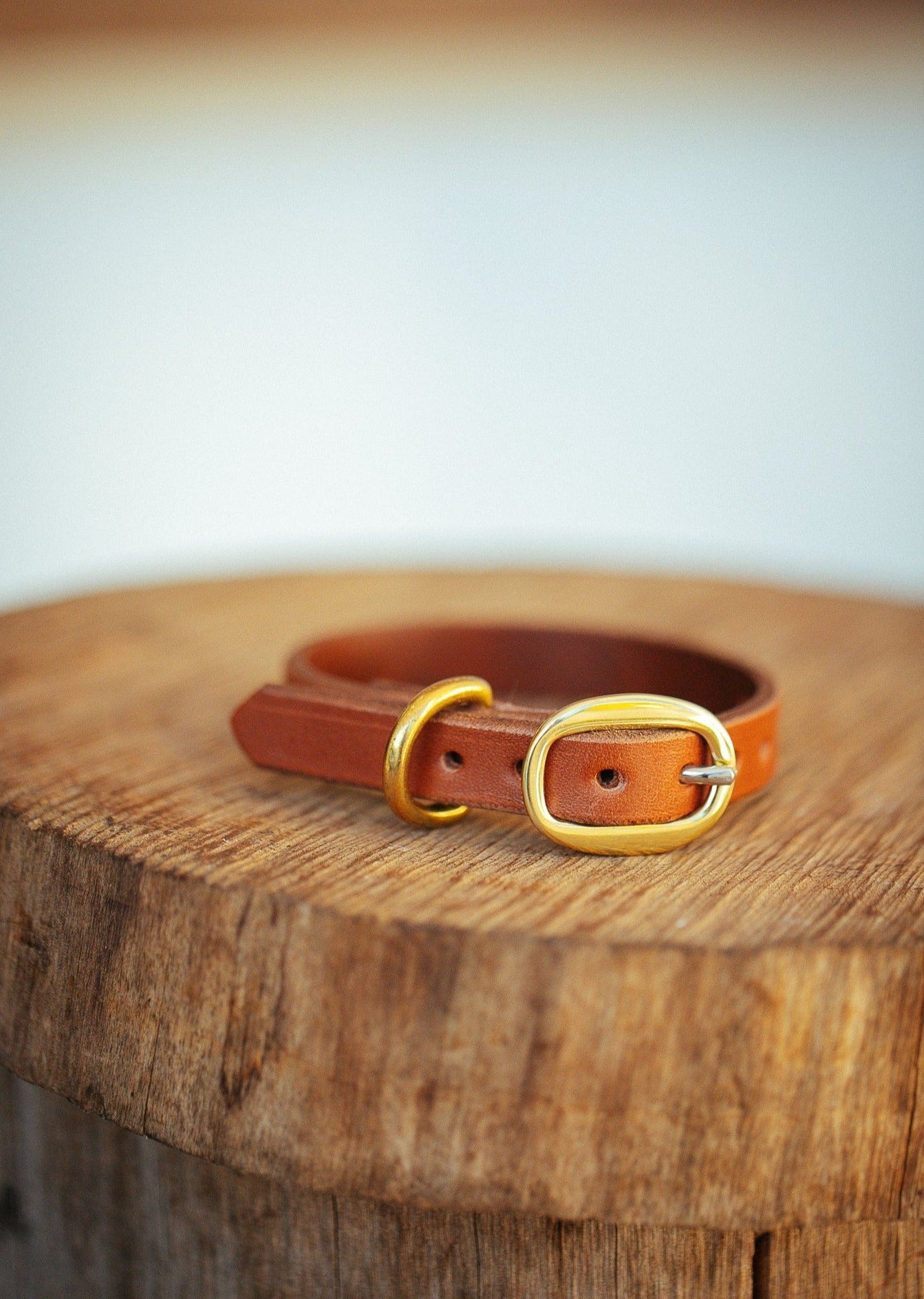 The Real McCaul Leathergoods Pet Collars & Harnesses Classic Dog Collar - 15mm - Tan Australian Made Australian Owned Leather Dog Collar with Brass Fittings- Australian Made