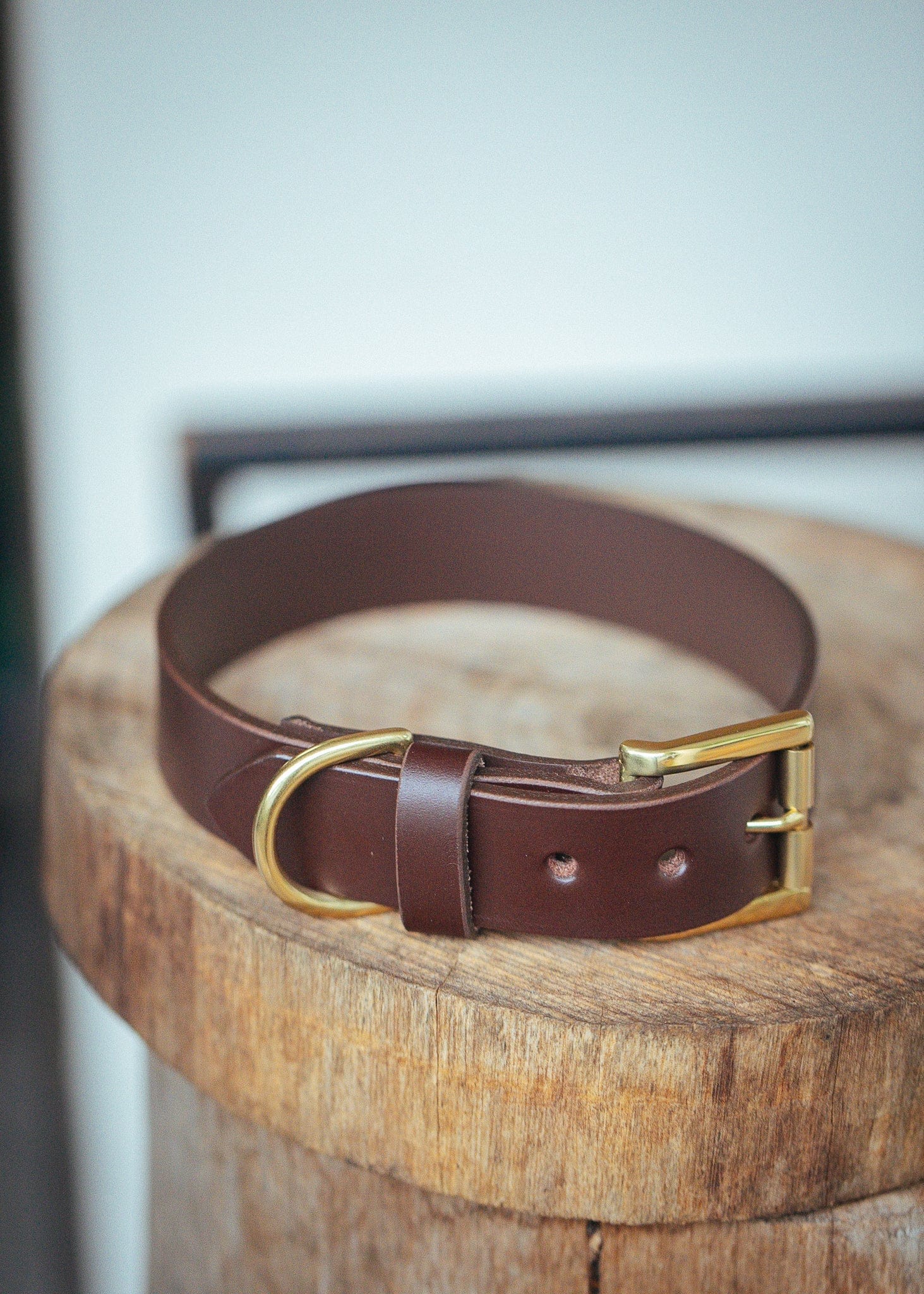 The Real McCaul Leathergoods Pet Collars & Harnesses Classic Dog Collar - 30mm - Cognac Australian Made Australian Owned Leather Dog Collar with Brass Fittings- Australian Made