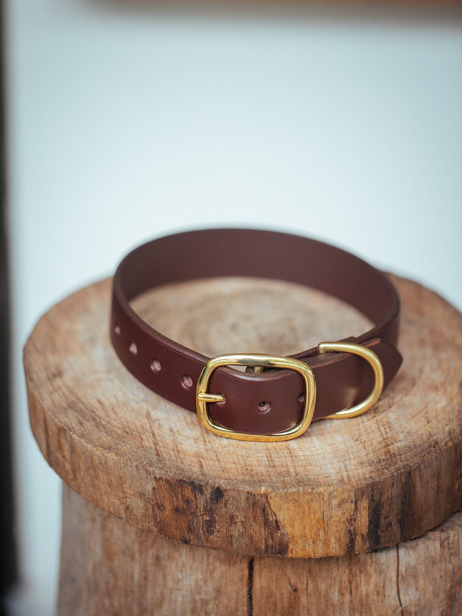 The Real McCaul Leathergoods Pet Collars & Harnesses Classic Dog Collar - 32mm - Cognac Australian Made Australian Owned Leather Dog Collar with Brass Fittings- Australian Made