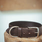 The Real McCaul Leathergoods Pet Collars & Harnesses Classic Dog Collar - 38mm - Dark Brown Australian Made Australian Owned Leather Dog Collar with Brass Fittings- Australian Made