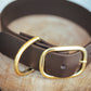The Real McCaul Leathergoods Pet Collars & Harnesses Classic Dog Collar - 38mm - Dark Brown Australian Made Australian Owned Leather Dog Collar with Brass Fittings- Australian Made