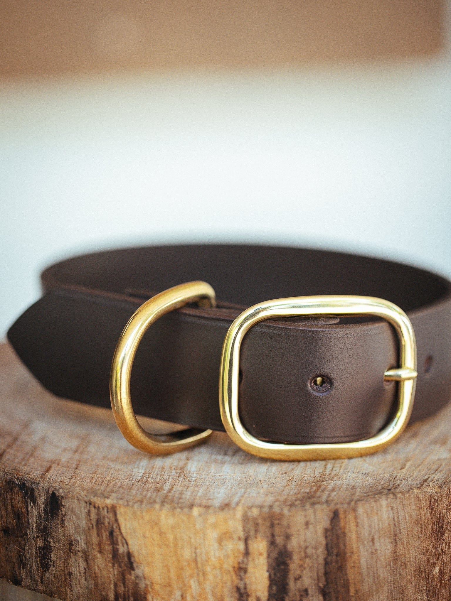 The Real McCaul Leathergoods Pet Collars & Harnesses Classic Dog Collar - 38mm - Dark Brown Australian Made Australian Owned Leather Dog Collar with Brass Fittings- Australian Made