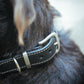 The Real McCaul Leathergoods Pet Collars & Harnesses Deluxe Rancher Dog Collar - 32mm - Black Australian Made Australian Owned Leather Dog Collar with Brass Fittings- Australian Made
