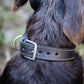 The Real McCaul Leathergoods Pet Collars & Harnesses Deluxe Rancher Dog Collar - 32mm - Black Australian Made Australian Owned Leather Dog Collar with Brass Fittings- Australian Made