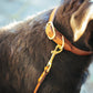 The Real McCaul Leathergoods Pet Collars & Harnesses Dog Collar & Leash Set - 25mm Wide - Tan Australian Made Australian Owned Leather Dog Collar with Lead or Leash Made In Australia