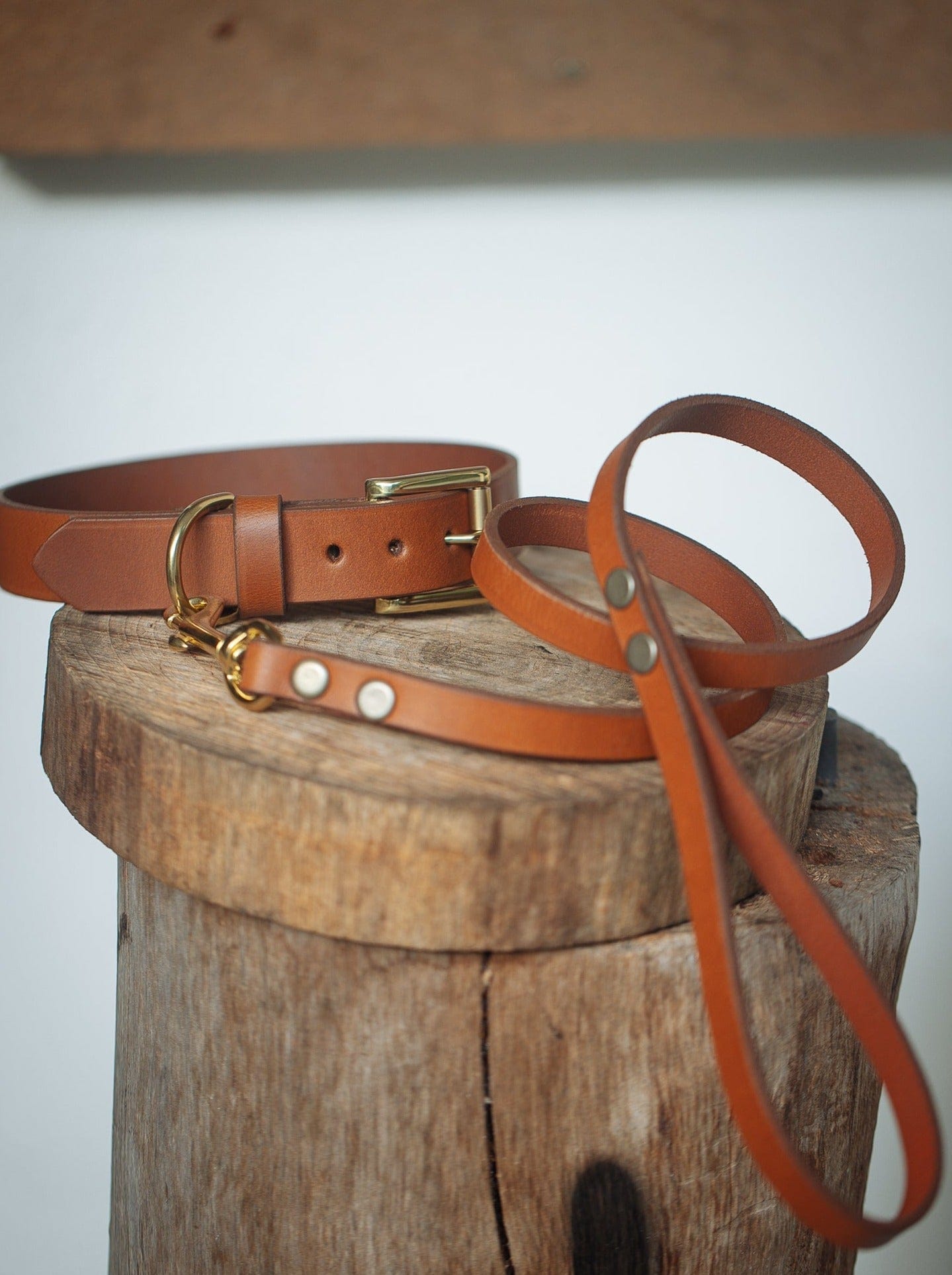 The Real McCaul Leathergoods Pet Collars & Harnesses Dog Collar & Leash Set - 30mm Wide - Tan Australian Made Australian Owned Leather Dog Collar and Lead with Brass Fittings- Australian Made