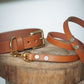 The Real McCaul Leathergoods Pet Collars & Harnesses Dog Collar & Leash Set - 30mm Wide - Tan Australian Made Australian Owned Leather Dog Collar and Lead with Brass Fittings- Australian Made