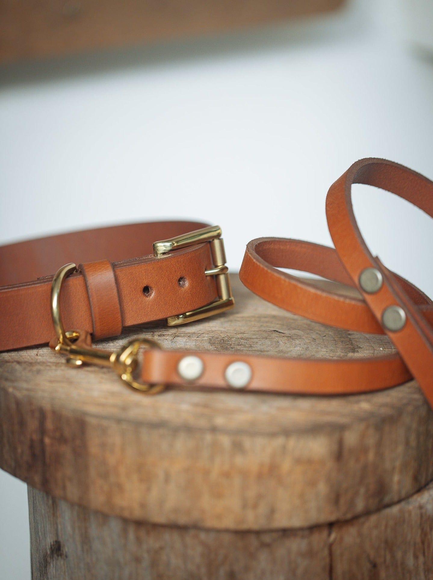 The Real McCaul Leathergoods Pet Collars & Harnesses Dog Collar & Leash Set - 30mm Wide - Tan Australian Made Australian Owned Leather Dog Collar and Lead with Brass Fittings- Australian Made
