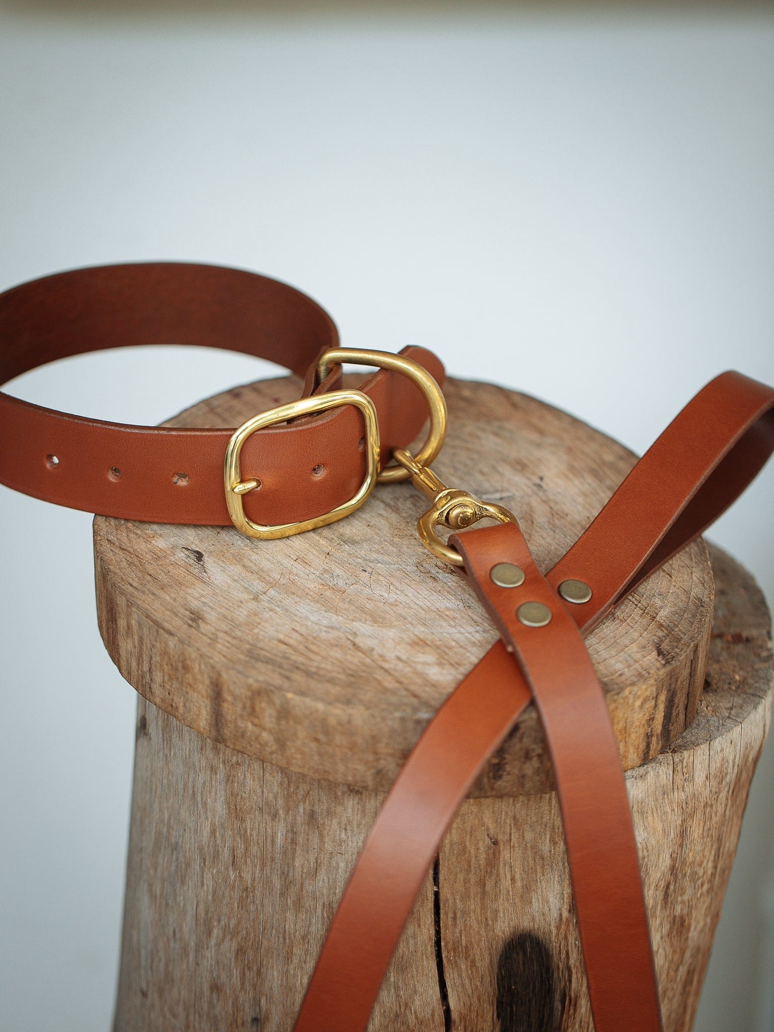 The Real McCaul Leathergoods Pet Collars & Harnesses Dog Collar & Leash Set - 38mm Wide - Tan Australian Made Australian Owned Leather Dog Collar and Lead with Brass Fittings- Australian Made
