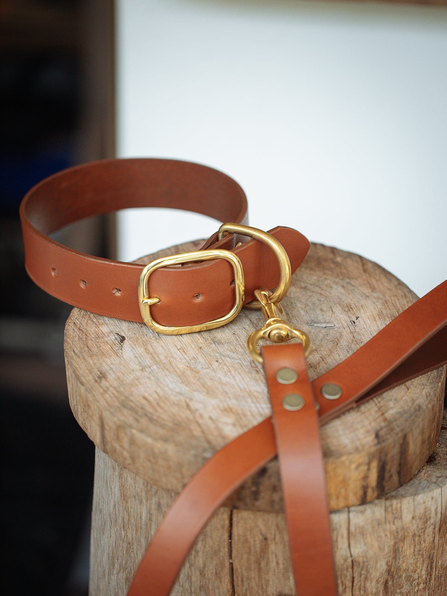 The Real McCaul Leathergoods Pet Collars & Harnesses Dog Collar & Leash Set - 38mm Wide - Tan Australian Made Australian Owned Leather Dog Collar and Lead with Brass Fittings- Australian Made