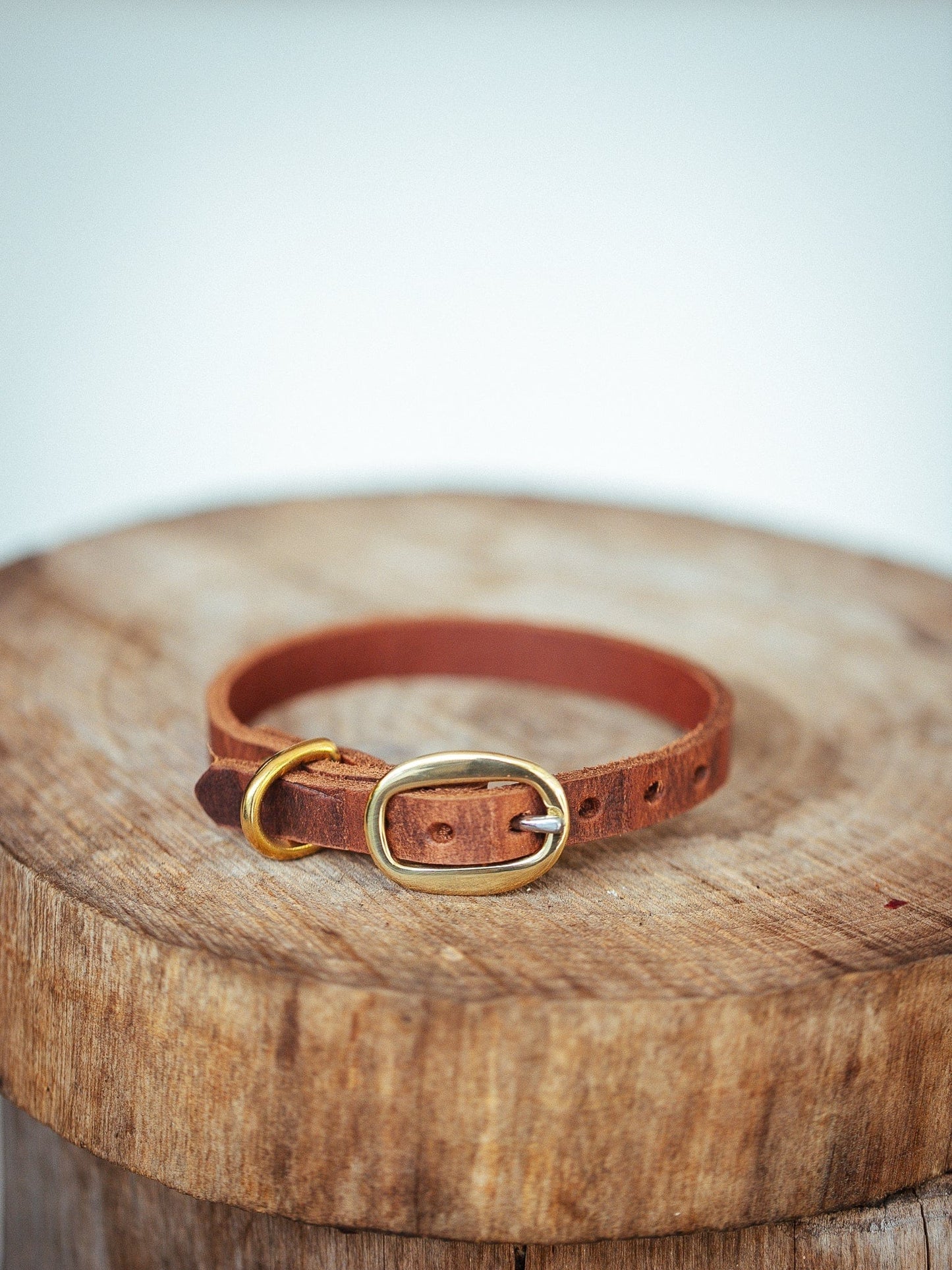 The Real McCaul Leathergoods Pet Collars & Harnesses Embossed Dog Collar - 15mm - Croc Print - Vintage Brown Australian Made Australian Owned Leather Dog Collar with Brass Fittings- Australian Made