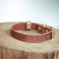 The Real McCaul Leathergoods Pet Collars & Harnesses Embossed Dog Collar - 20mm - Croc Print - Vintage Brown Australian Made Australian Owned Leather Dog Collar with Brass Fittings- Australian Made
