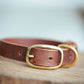 The Real McCaul Leathergoods Pet Collars & Harnesses Embossed Dog Collar - 20mm - Croc Print - Vintage Brown Australian Made Australian Owned Leather Dog Collar with Brass Fittings- Australian Made