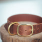 The Real McCaul Leathergoods Pet Collars & Harnesses Embossed Dog Collar - Croc Print - 38mm - Vintage Brown Australian Made Australian Owned Leather Dog Collar with Brass Fittings- Australian Made