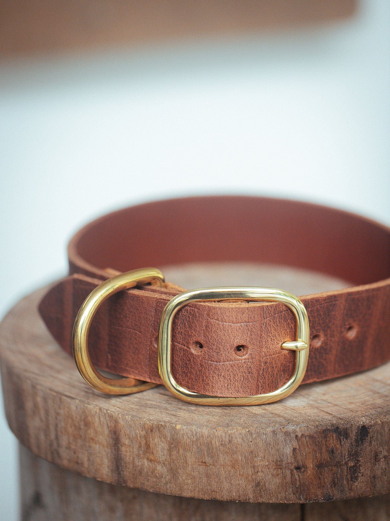 The Real McCaul Leathergoods Pet Collars & Harnesses Embossed Dog Collar - Croc Print - 38mm - Vintage Brown Australian Made Australian Owned Leather Dog Collar with Brass Fittings- Australian Made