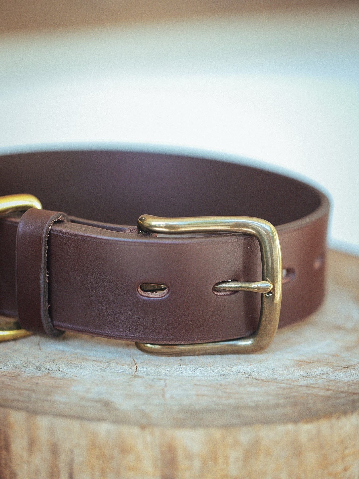 The Real McCaul Leathergoods Pet Collars & Harnesses Medium (40-49cm) / Antique Brass Double Studded Dog Collar - 38mm - Cognac Australian Made Australian Owned Leather Dog Collar with Brass Fittings- Australian Made