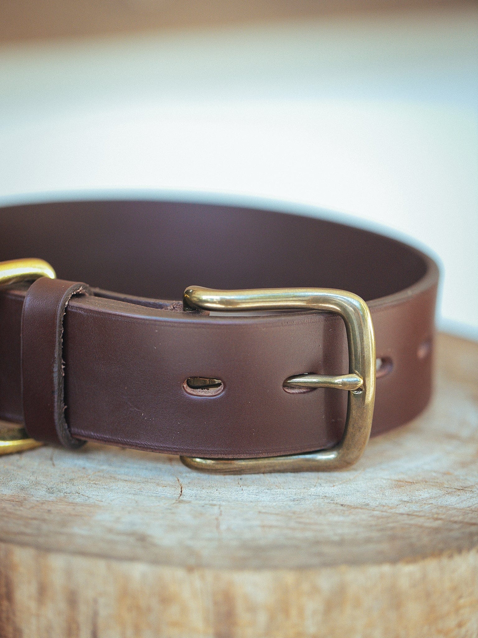 The Real McCaul Leathergoods Pet Collars & Harnesses Medium (40-49cm) / Antique Brass Double Studded Dog Collar - 38mm - Cognac Australian Made Australian Owned Leather Dog Collar with Brass Fittings- Australian Made