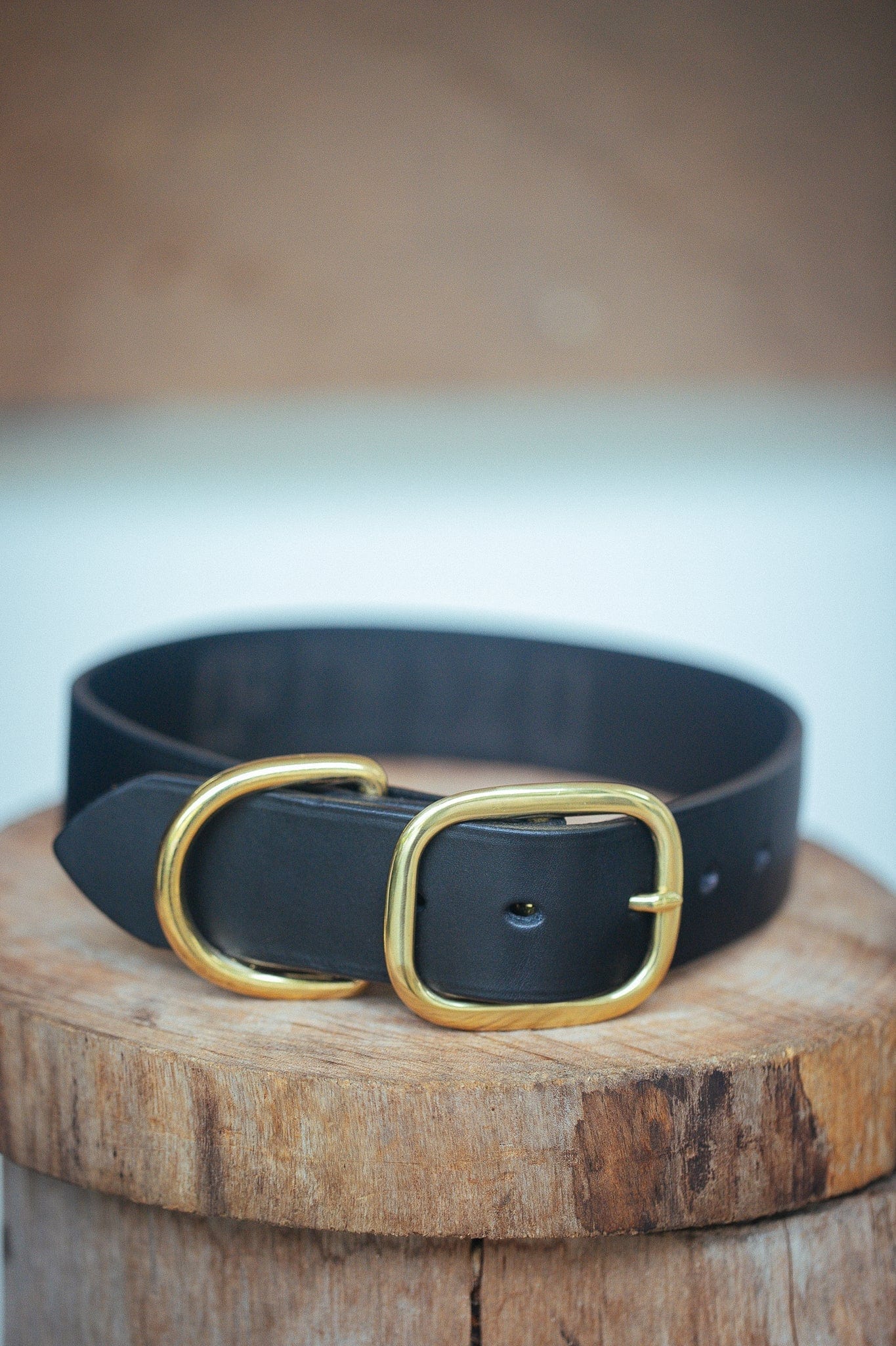The Real McCaul Leathergoods Pet Collars & Harnesses Medium (40-49cm) / Brass Classic Dog Collar - 38mm - Black Australian Made Australian Owned Leather Dog Collar with Brass Fittings- Australian Made