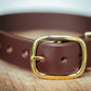 The Real McCaul Leathergoods Pet Collars & Harnesses Medium (40-49cm) / Gold Double Studded Dog Collar - 38mm - Cognac Australian Made Australian Owned Leather Dog Collar with Brass Fittings- Australian Made