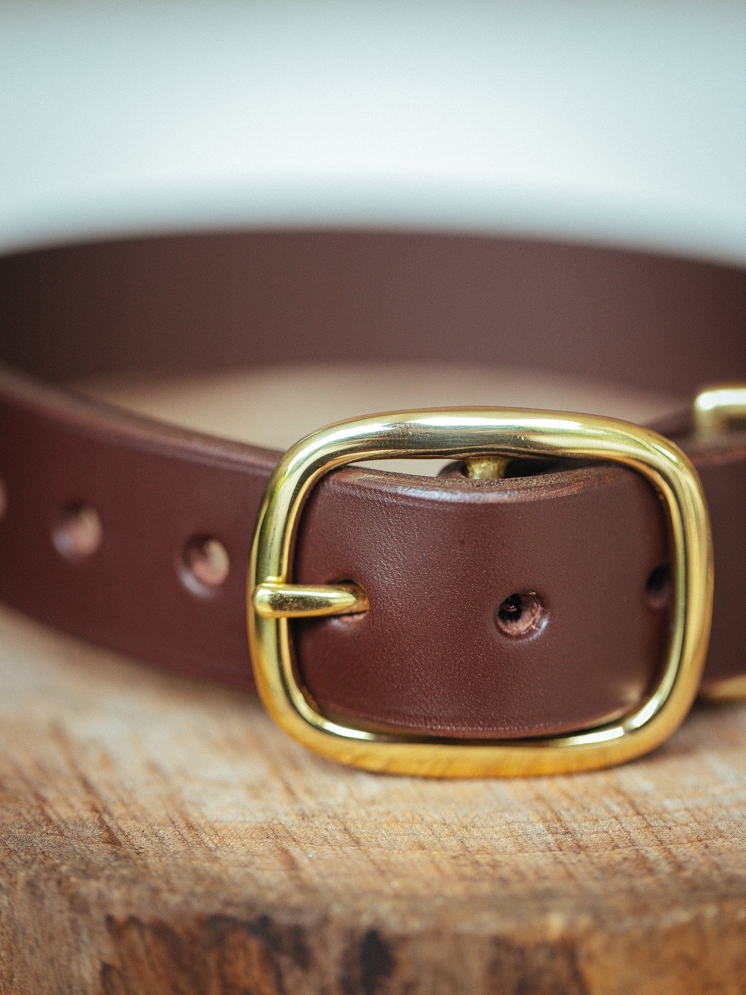 The Real McCaul Leathergoods Pet Collars & Harnesses Medium (40-49cm) / Gold Double Studded Dog Collar - 38mm - Cognac Australian Made Australian Owned Leather Dog Collar with Brass Fittings- Australian Made