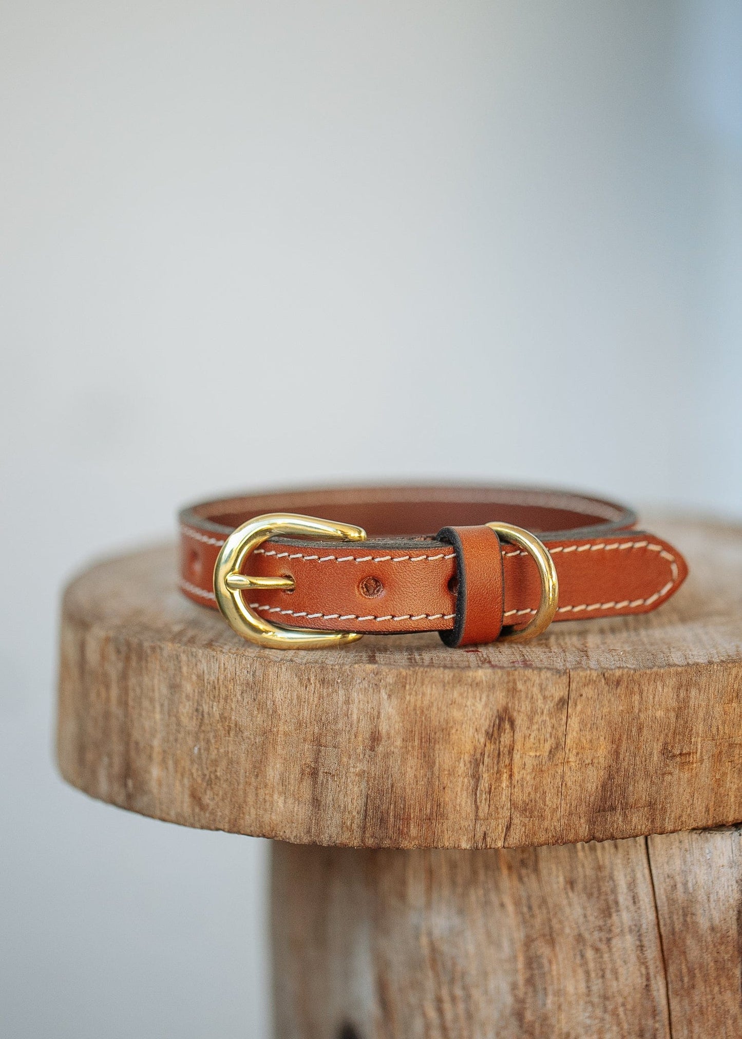 The Real McCaul Leathergoods Pet Collars & Harnesses Rancher Dog Collar - 20mm - Tan Australian Made Australian Owned Australian Made Dog Collar - Solid Leather with Brass