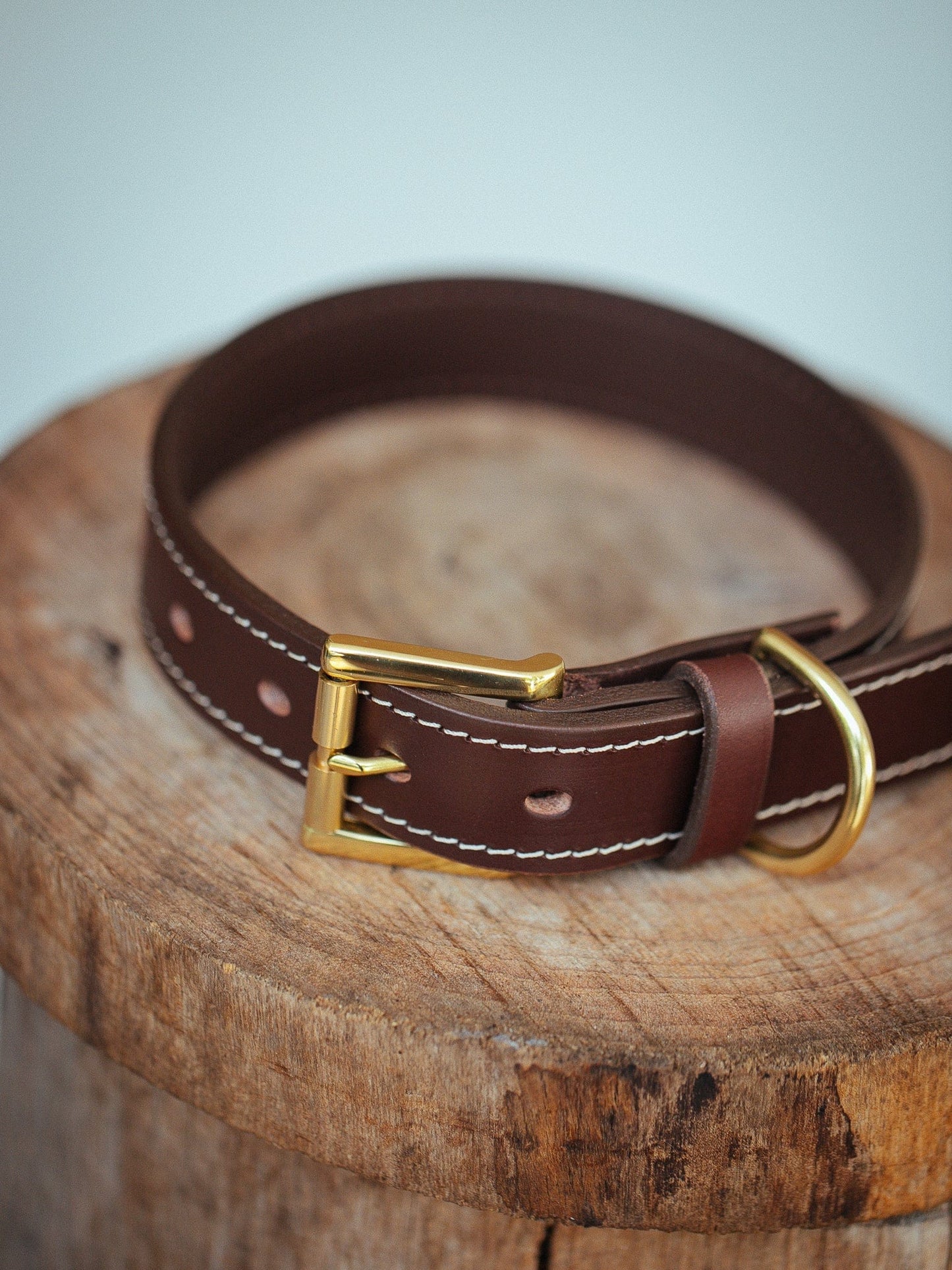 The Real McCaul Leathergoods Pet Collars & Harnesses Rancher Dog Collar - 30mm - Cognac Australian Made Australian Owned Leather Dog Collar with Brass Fittings- Australian Made