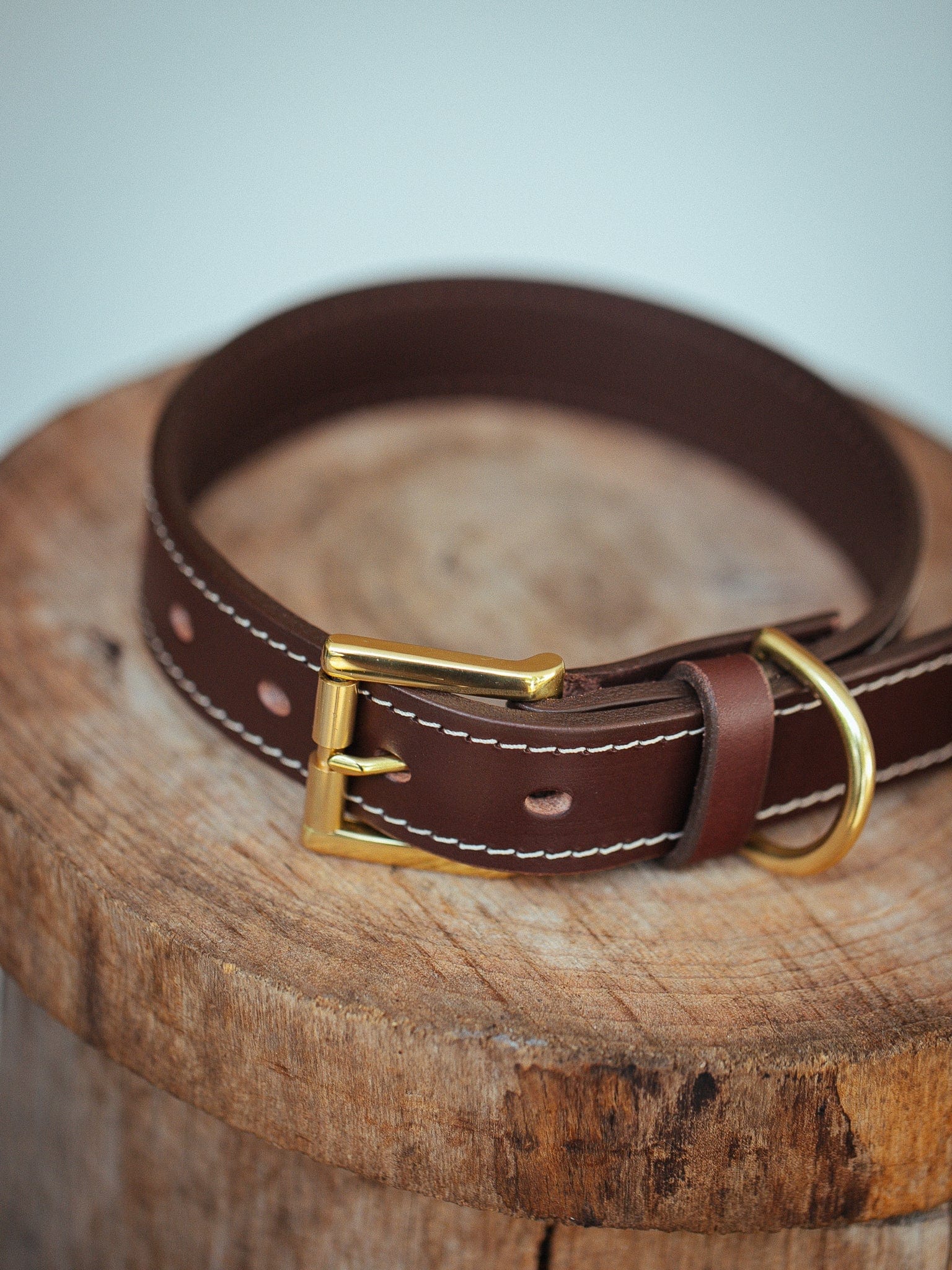 The Real McCaul Leathergoods Pet Collars & Harnesses Rancher Dog Collar - 30mm - Cognac Australian Made Australian Owned Leather Dog Collar with Brass Fittings- Australian Made