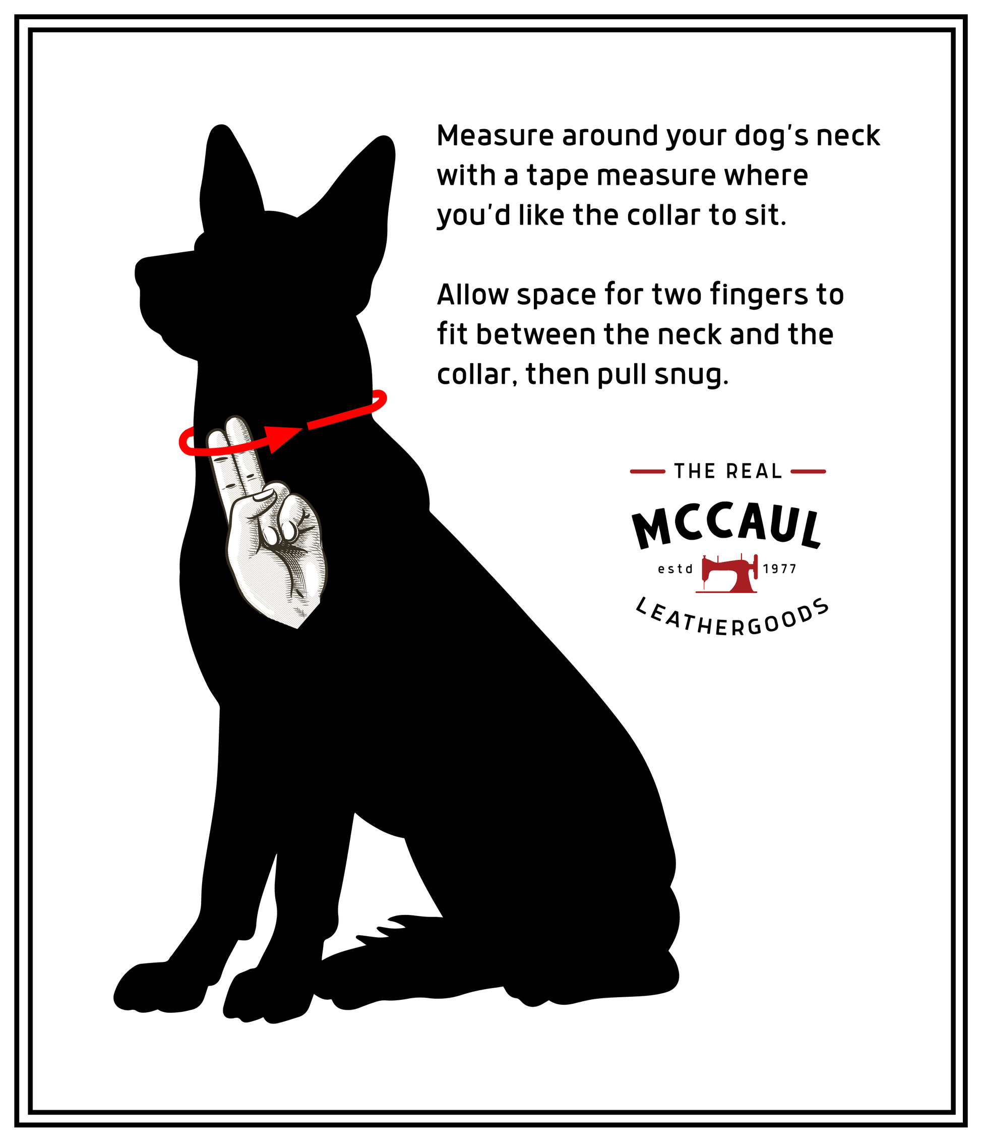The Real McCaul Leathergoods Pet Collars & Harnesses Rancher Dog Collar - 38mm - Black Australian Made Australian Owned Leather Dog Collar with Brass Fittings- Australian Made