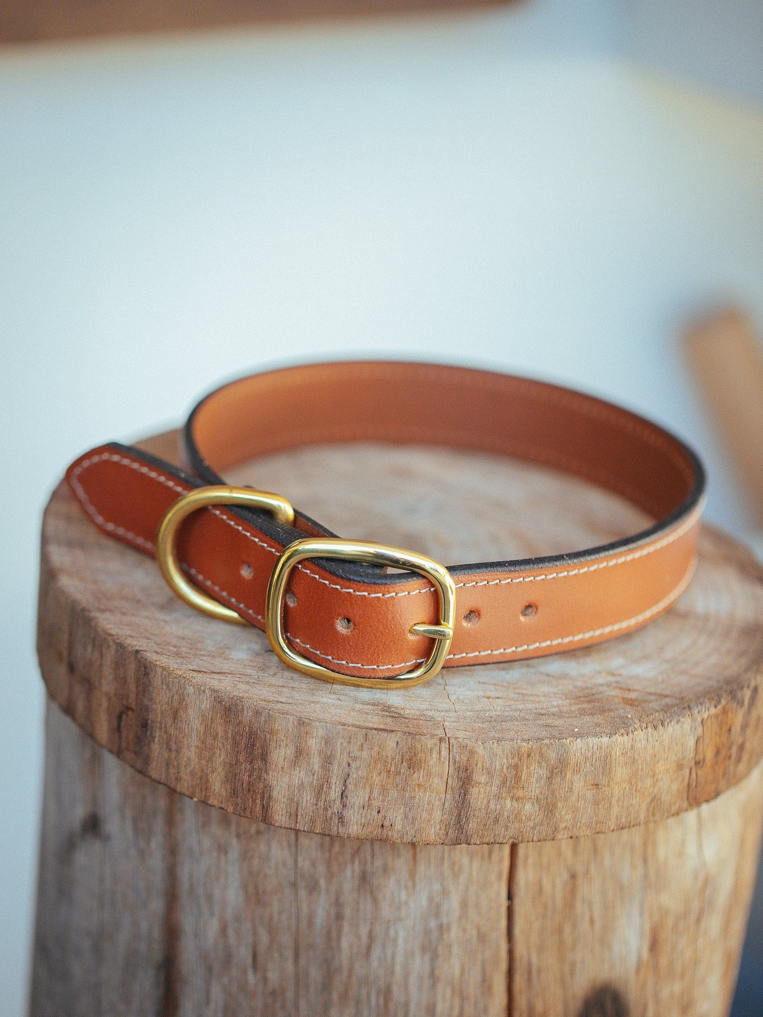The Real McCaul Leathergoods Pet Collars & Harnesses Small (30-39cm) / Gold Rancher Dog Collar - 32mm - Tan Australian Made Australian Owned Leather Dog Collar with Brass Fittings- Australian Made