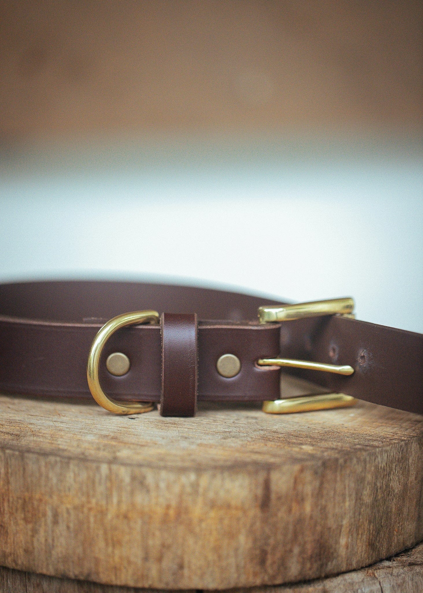 The Real McCaul Leathergoods Pet Collars & Harnesses X Small (20-29cm) / Brass Classic Dog Collar - 30mm - Cognac Australian Made Australian Owned Leather Dog Collar with Brass Fittings- Australian Made