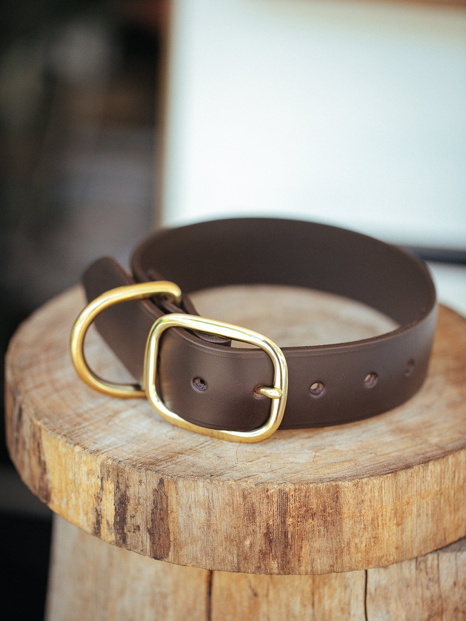 The Real McCaul Leathergoods Pet Collars & Harnesses X Small (20-29cm) / Gold Classic Dog Collar - 32mm - Dark Brown Australian Made Australian Owned Leather Dog Collar with Brass Fittings- Australian Made