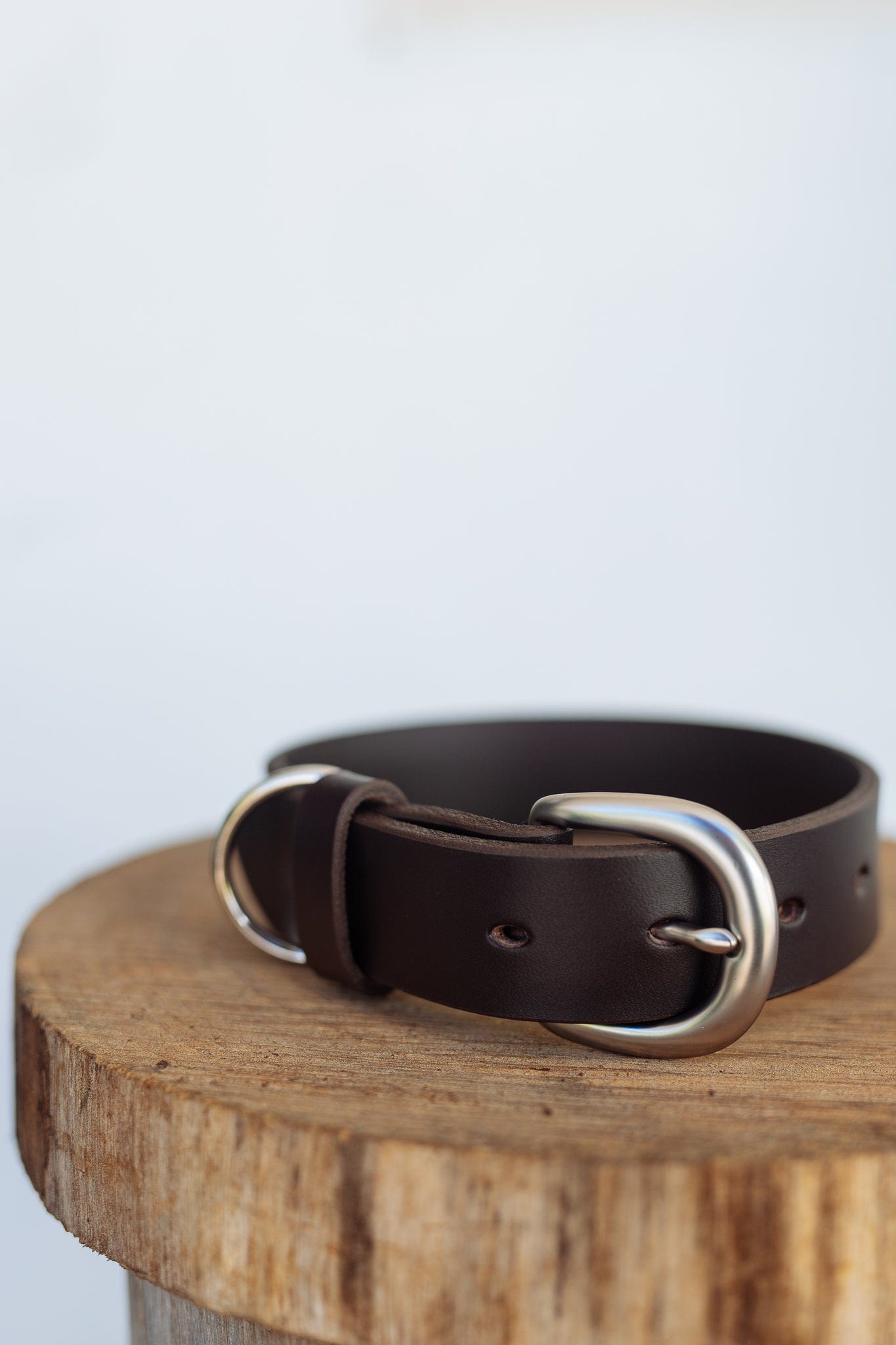 The Real McCaul Leathergoods Pet Collars & Harnesses X Small (20-29cm) / Silver Classic Dog Collar - 32mm - Dark Brown Australian Made Australian Owned Leather Dog Collar with Brass Fittings- Australian Made