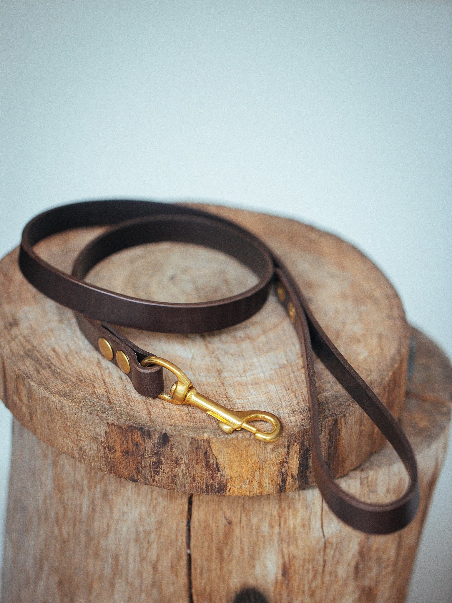 The Real McCaul Leathergoods Pet Leashes Narrow Dog Leash - Dark Brown Australian Made Australian Owned Leather Dog Lead or Leash - HandMade In Australia- Brass Fittings